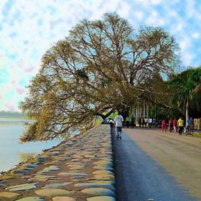 Discovering the Heart of Chandigarh : A Local's Guide to Unforgettable in Chandigarh - Photo 5