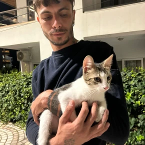 Lorenzo's profile image