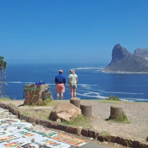 Cape Peninsula full day Tour in Cape Town - Photo 2