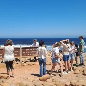 Cape Peninsula full day Tour in Cape Town - Photo 3