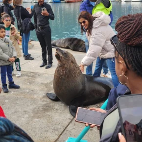Cape Peninsula full day Tour in Cape Town - Photo 5