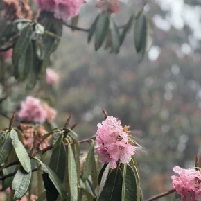 Hiking for fun in Kathmandu - Photo 4