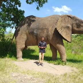Chimpanzee trekking, Dame driving, Walking safari, Local Tour in Arusha - Photo 4