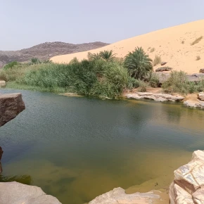Exploring the hidden gems of Mauritania in Nouakchott - Photo 6