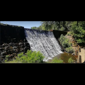 I’ll take you around the streets, city life, nice food places, an.. in Greenville - Photo 2