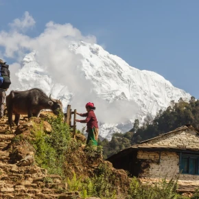 Beauty of Nepal - Online Experience - Photo 3