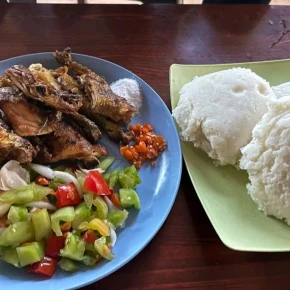Home Restaurant in Likuni, Lilongwe, Malawi - with EXAVIA - Photo 4