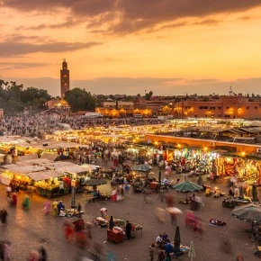 Local Experience
Marrahech city tour
Visit the most popular areas in Marrakesh - Photo 1