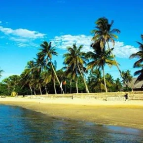 Hi Im Osvaldo i have experience on helping People to know Places - Live Streaming - Photo 3