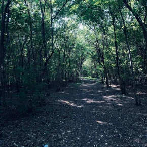 The treks and outskirts of this city will make you feel alive again in Chhatrapati Sambhajinagar - Photo 3