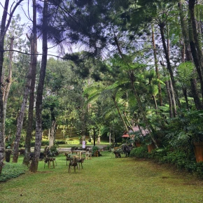 Join my tour, and you'll never forget our journey in Jakarta - Photo 3