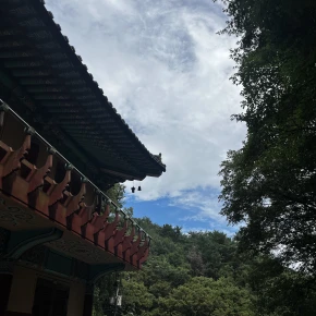 Join me through the city of Seoul, let´s eat delicious meals and.. - Live Streaming - Photo 1