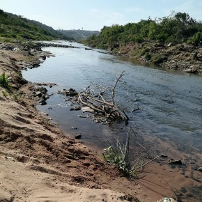 Tour around the CBD or nearest towns by either a taxi, bus or wal.. in KwaZulu