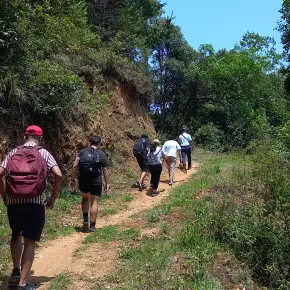Authentic Nepal: Hike Through Nature, Heritage & Hospitality in Kathmandu - Photo 1