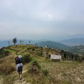 Authentic Nepal: Hike Through Nature, Heritage & Hospitality in Kathmandu - Photo 4