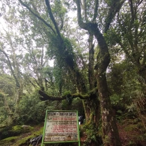 Explore Nature: Guided Local Hike and Nature Trip in Davao City - Photo 6