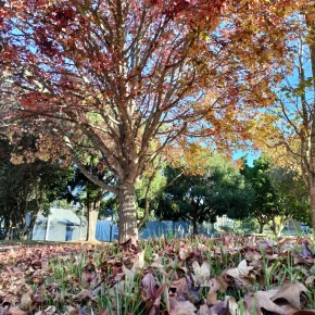 Meet Raymond Anderson Dreyers in Cape Town - Your Local Friend & Expert - ID9617 - Photo 2