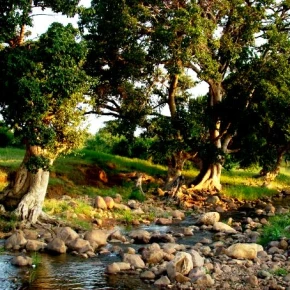 Explore the Hidden Gems of Limpopo - Live Streaming - Photo 3
