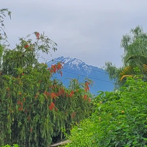 "Authentic Arusha: A Guided Journey Through Culture and Nature" in Arusha - Photo 4