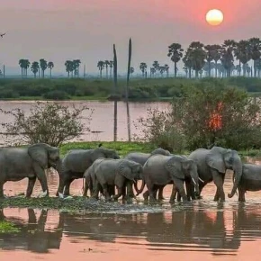 "Authentic Arusha: A Guided Journey Through Culture and Nature" in Arusha - Photo 5
