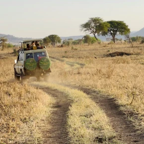 I customize tours or safaris based on one’s interests in Kampala - Photo 2