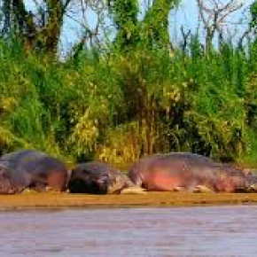 Experience unforgettable adventures with a passionate and knowled.. in Bujumbura - Photo 2