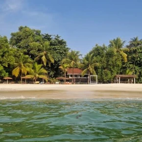 Discover Freetown through the eyes of a passionate local guide. A.. - Live Streaming - Photo 2