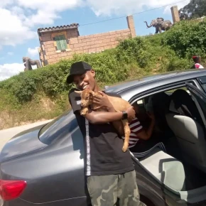 Meet Twagirimana in Kigali - Your Local Friend & Expert - ID10294 - Photo 5