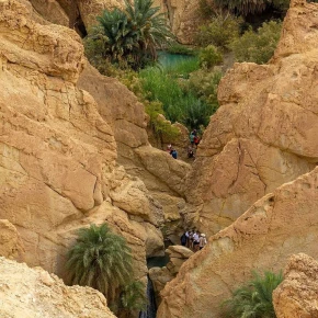 Local ExperienceNuit magique dans le désert du Sahara in Nouail - Photo 5