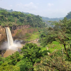 The Ekom-Nkam waterfalls - Live Streaming - Photo 2