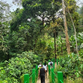 The Ekom-Nkam waterfalls - Live Streaming - Photo 3