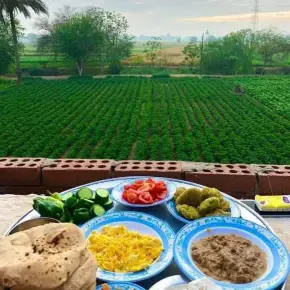 Home Restaurant in Maadi City Center Entrance,  El Basatin, Egypt - with halo egypt tours. - Photo 3