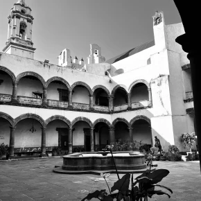 Meet Jesus Pata de Biombo, your local expert in Mexico City - Photo 3