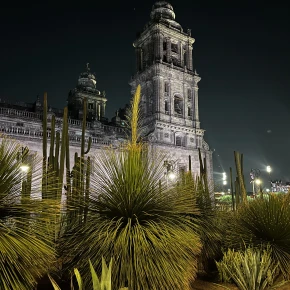 Hidden pleaces to enjoy life in Mexico City - Photo 2