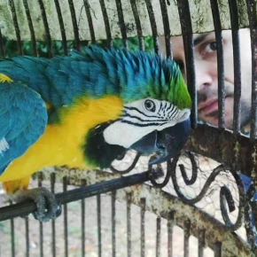 Meet Carlos, your local expert in Medellín - Photo 2