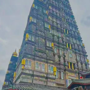 Let's travel together and discover places - Live Streaming - Photo 1