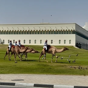 Walking Tour: Discover Souq Waqif in Doha - Photo 6