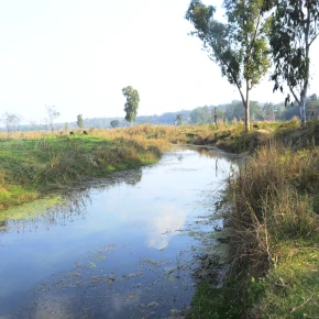 Hello everyone myself Rakesh and I am leaving in Nadaun District Hamir - Live Streaming - Photo 4