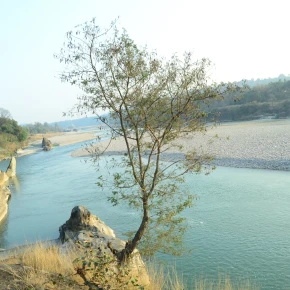 Hello everyone myself Rakesh and I am leaving in Nadaun District Hamir - Live Streaming - Photo 6