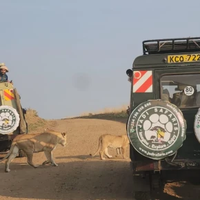 Jadi Safaris: Luxury Wilderness & Cultural Tour in Nairobi - Photo 5