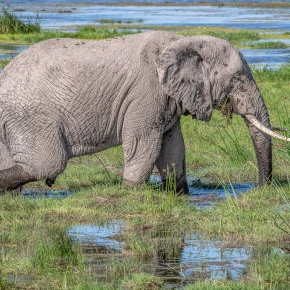 Meet Safari Stride, your local expert in Arusha - Photo 3