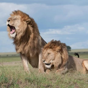 Travel Tanzania with Safari Stride in Arusha - Photo 1