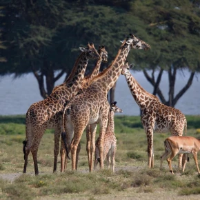 Travel Tanzania with Safari Stride in Arusha - Photo 2