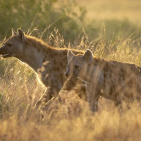 Travel Tanzania with Safari Stride in Arusha - Photo 3