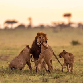 Travel Tanzania with Safari Stride in Arusha - Photo 4