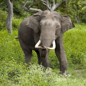 Travel Tanzania with Safari Stride in Arusha - Photo 5