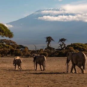 Travel Tanzania with Safari Stride in Arusha - Photo 6