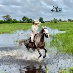 Meet Game Scanners Tours and Safaris, your local expert in Maun - Photo 2