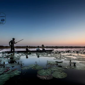 Meet Game Scanners Tours and Safaris, your local expert in Maun - Photo 5