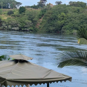 Meet Cinta, your local expert in Kampala - Photo 4